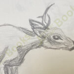 Curious Deer