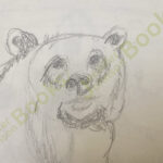 curious bear