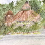 ecuadorian amazon
