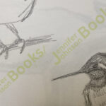 hummingbird
